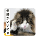 イエモン（個別スタンプ：5）