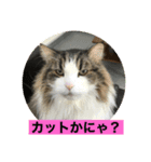 イエモン（個別スタンプ：6）