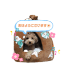 ソラくんナギくん（個別スタンプ：1）