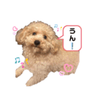 ソラくんナギくん（個別スタンプ：2）