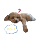 ソラくんナギくん（個別スタンプ：3）