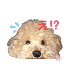 ソラくんナギくん（個別スタンプ：4）
