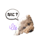 ソラくんナギくん（個別スタンプ：6）