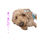 ソラくんナギくん（個別スタンプ：7）