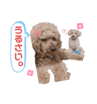 ソラくんナギくん（個別スタンプ：8）