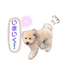 ソラくんナギくん（個別スタンプ：9）