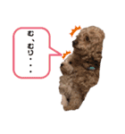 ソラくんナギくん（個別スタンプ：13）