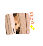 ソラくんナギくん（個別スタンプ：16）