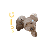 ソラくんナギくん（個別スタンプ：19）