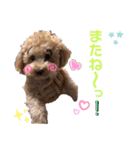 ソラくんナギくん（個別スタンプ：21）