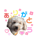 ソラくんナギくん（個別スタンプ：22）