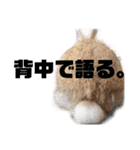 大吉スタンプ(うさぎ)（個別スタンプ：2）