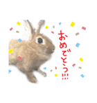 大吉スタンプ(うさぎ)（個別スタンプ：4）