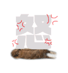 大吉スタンプ(うさぎ)（個別スタンプ：5）