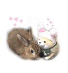 大吉スタンプ(うさぎ)（個別スタンプ：11）
