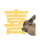 大吉スタンプ(うさぎ)（個別スタンプ：13）