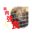 大吉スタンプ(うさぎ)（個別スタンプ：17）