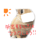 大吉スタンプ(うさぎ)（個別スタンプ：21）