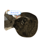 デグちゃんスタンプ（個別スタンプ：4）