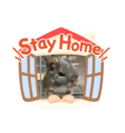 デグちゃんスタンプ（個別スタンプ：5）
