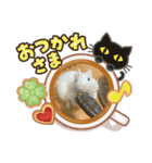 デグちゃんスタンプ（個別スタンプ：6）