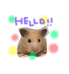 大洋animal's（個別スタンプ：8）