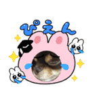 まいけるちょこたん4（個別スタンプ：23）