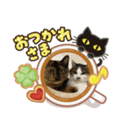 ムクとウッキーとよもぎ（個別スタンプ：7）
