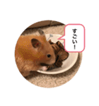 さんちゃん ペット（個別スタンプ：18）