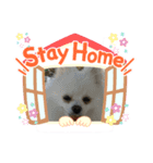 チョコミント＆くぅちゃん♡（個別スタンプ：1）