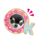 PoPo♡Roy（個別スタンプ：1）