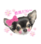 PoPo♡Roy（個別スタンプ：6）