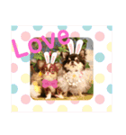 PoPo♡Roy（個別スタンプ：8）