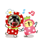 PoPo♡Roy（個別スタンプ：9）