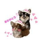 PoPo♡Roy（個別スタンプ：15）