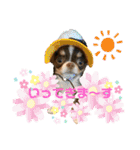 PoPo♡Roy（個別スタンプ：23）