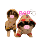 PoPo♡Roy（個別スタンプ：26）