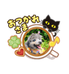 chocoとRinとBooのスタンプ（個別スタンプ：2）
