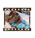 chocoとRinとBooのスタンプ（個別スタンプ：8）