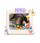 chocoとRinとBooのスタンプ（個別スタンプ：11）