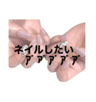 辻本のじぶんよう（個別スタンプ：6）