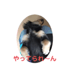 ノアさんの気持ち（個別スタンプ：2）