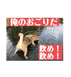 ポジティブ タロー＆豆太（個別スタンプ：7）