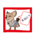 かりんころん(2)（個別スタンプ：12）