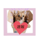 かりんころん(2)（個別スタンプ：15）