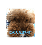 pamiスタ（個別スタンプ：1）