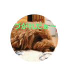 pamiスタ（個別スタンプ：2）