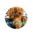 pamiスタ（個別スタンプ：8）