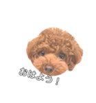 john7（個別スタンプ：2）