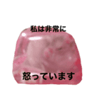 プラトン スタンプ（個別スタンプ：3）